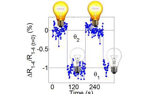 antiferromagnetic web