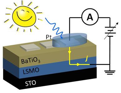 steady and transient photocurrent web