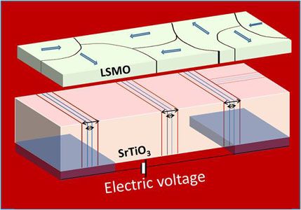 polar domain walls web