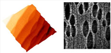 instability and surfaceWEB
